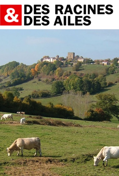 Des racines et des ailes